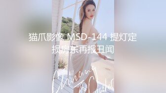 猫爪影像 MSD-144 提灯定损房东再报丑闻