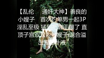 好气质的女神，还没开始就骚逼就开始流水