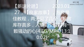 91经典系列资源整理合集P17【33V】 (14)