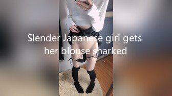 Slender Japanese girl gets her blouse sharked