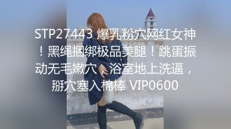 《最新购买❤️精品分享》好多人求购的映秀热舞团长腿风骚脸性感御姐【鑫蕾】二期，各种情趣露逼骚舞顶胯挑逗顶级诱惑 (3)