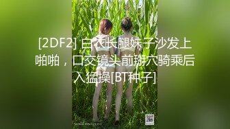 前两年草的一少妇，肛交内射-大魔王出品