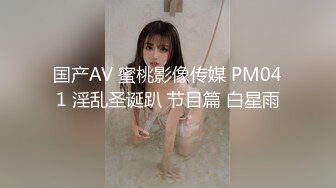 国产AV 蜜桃影像传媒 PM041 淫乱圣诞趴 节目篇 白星雨