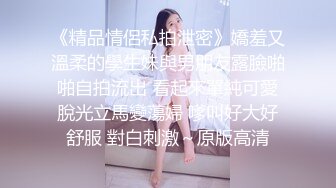 【JD064】嫦娥奔月.但愿人长久.千里共婵娟