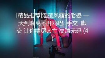 [精品推荐]淫荡风骚的老婆 一天到晚离不开鸡巴  手交  脚交 让你精尽人亡 高清无码 (4)