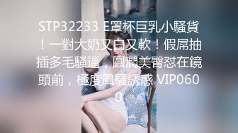 秀人网巨乳网红 朱可儿 2023最新付费福利，粉色透视大尺度 (1)