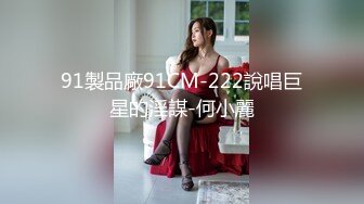 91製品廠91CM-222說唱巨星的淫謀-何小麗