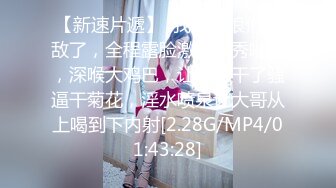 超级骚气质美女米拉，振动棒磨蹭骚逼自己玩，炮友加入69深喉大屌，主动骑乘爆操