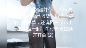 ❤️气质与风骚并存❤️KTV洗手间后入极品骚货，偷情小姨子出来爆草，还说回去了带上她的姐姐一起，牛仔裤直接撕开开肏 (2)