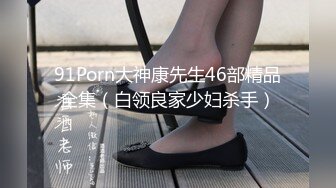 91Porn大神康先生46部精品全集（白领良家少妇杀手）