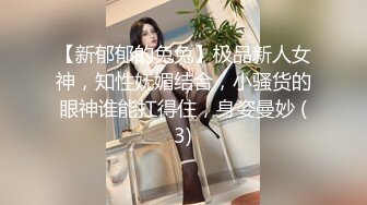   STARS-669 女友不在時、與中學時期交往的前女友睽違10年再會   濱邊栞帆[中文字幕]