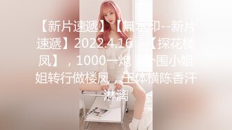 MFK-0026年轻的家政妇