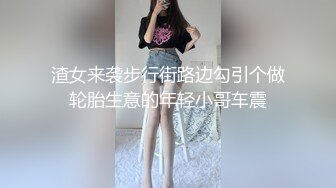 渣女来袭步行街路边勾引个做轮胎生意的年轻小哥车震