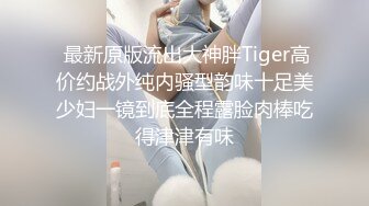  最新原版流出大神胖Tiger高价约战外纯内骚型韵味十足美少妇一镜到底全程露脸肉棒吃得津津有味