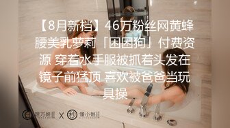 几年前的极品女友2