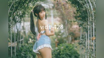 vids_428