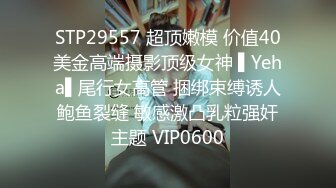 STP29557 超顶嫩模 价值40美金高端摄影顶级女神 ▌Yeha▌尾行女高管 捆绑束缚诱人鲍鱼裂缝 敏感激凸乳粒强奸主题 VIP0600