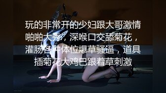 極品女模特唯美誘惑 (高清寫真視頻)