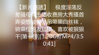 兔子先生.TZ-075-02-中秋团圆人奸情.下篇-绫波丽