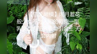 BJ佩尔西恩230820-1