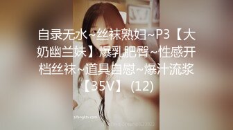 自录无水~丝袜熟妇~P3【大奶幽兰妹】爆乳肥臀~性感开档丝袜~道具自慰~爆汁流浆【35V】 (12)