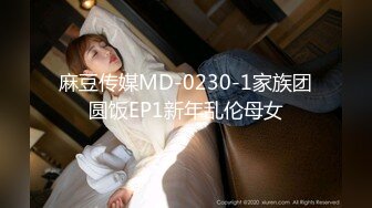 麻豆传媒MD-0230-1家族团圆饭EP1新年乱伦母女