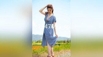 餐厅女厕偷拍多位盛世容颜逼毛茂盛性感的美女