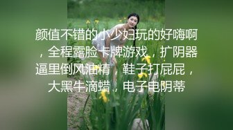 欧美白人男优顶流johnnysins光头哥Onlyfans资源合集第二弹【51V】 (9)