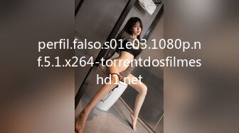 perfil.falso.s01e03.1080p.nf.5.1.x264-torrentdosfilmeshd1.net