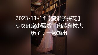 2023-11-14【瘦猴子探花】专攻良家小骚货，肉感身材大奶子，一顿输出