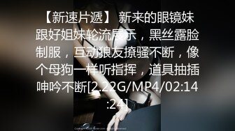 MDX-0233.寻小小.骑乐无穷圣诞夜.麋鹿少女的情趣游戏.麻豆传媒映画