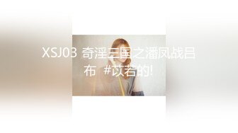 XSJ03 奇淫三国之潘凤战吕布  #苡若的!