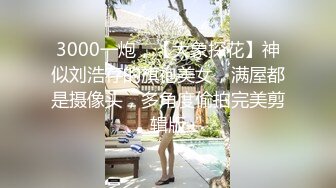 3000一炮，【大象探花】神似刘浩存的旗袍美女，满屋都是摄像头，多角度偷拍完美剪辑版