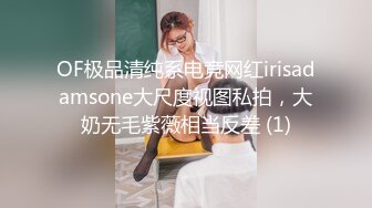 OF极品清纯系电竞网红irisadamsone大尺度视图私拍，大奶无毛紫薇相当反差 (1)